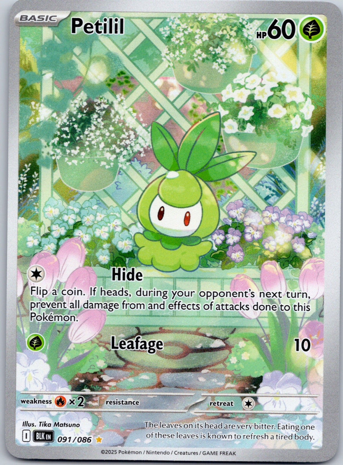 Petilil 091/086 SV: Black Bolt (Tika Matsuno)