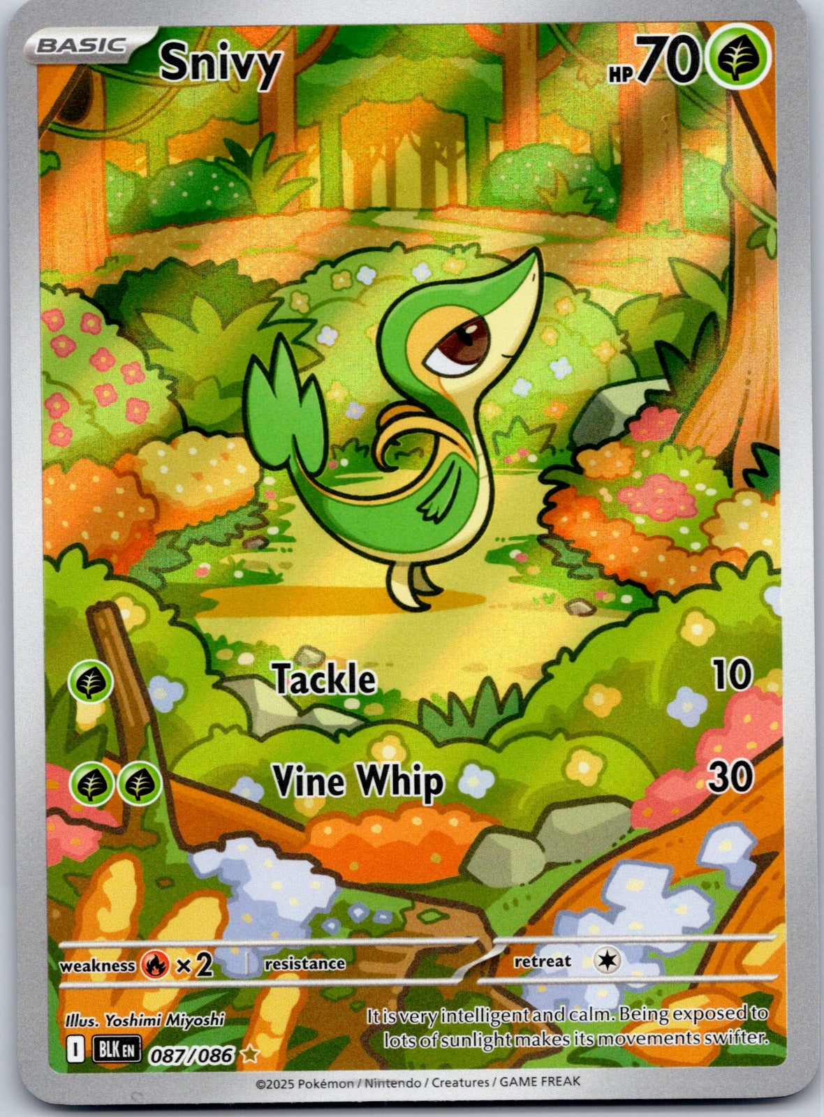 Snivy 087/086 SV: Black Bolt (Yoshimi Miyoshi)