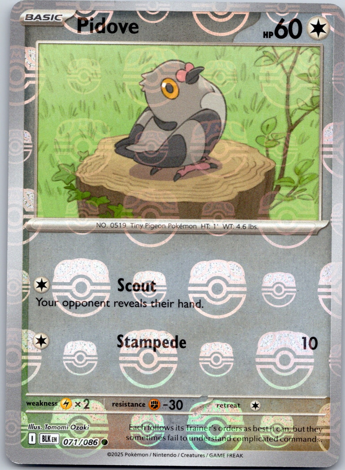 Pidove (Master Ball Pattern) 071/086 SV: Black Bolt (Tomomi Ozaki)