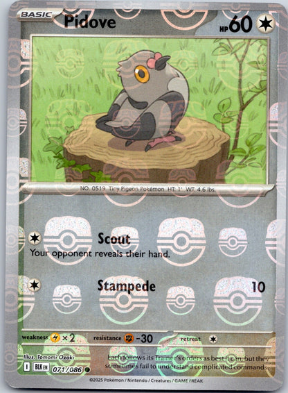 Pidove (Master Ball Pattern) 071/086 SV: Black Bolt (Tomomi Ozaki)